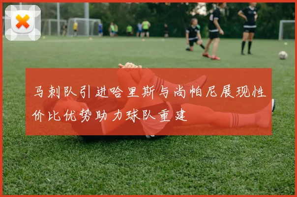 马刺队引进哈里斯与尚帕尼展现性价比优势助力球队重建
