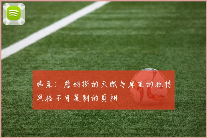 弗莱：詹姆斯的天赋与库里的独特风格不可复制的真相