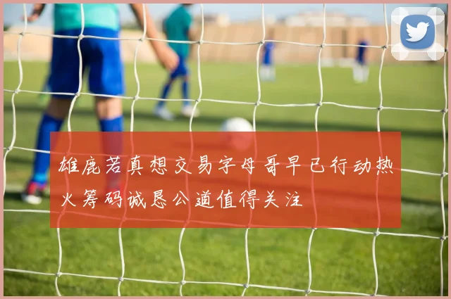 雄鹿若真想交易字母哥早已行动热火筹码诚恳公道值得关注
